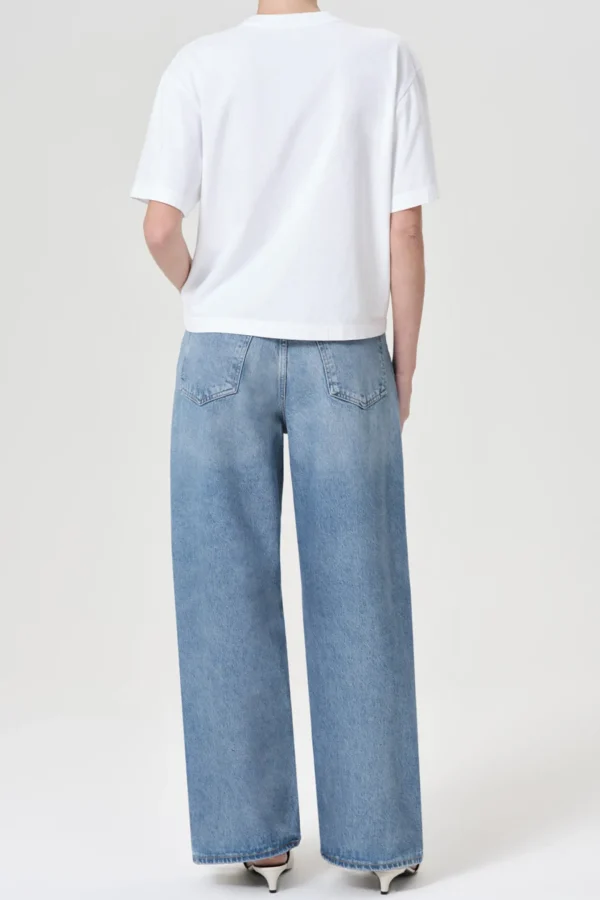 Agolde Jeans<Jeans Low Slung Baggy in Libertine