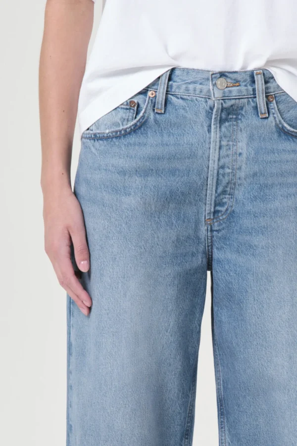 Agolde Jeans<Jeans Low Slung Baggy in Libertine