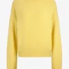 Ladneri Pullover<Pullover Jardin in Lemon